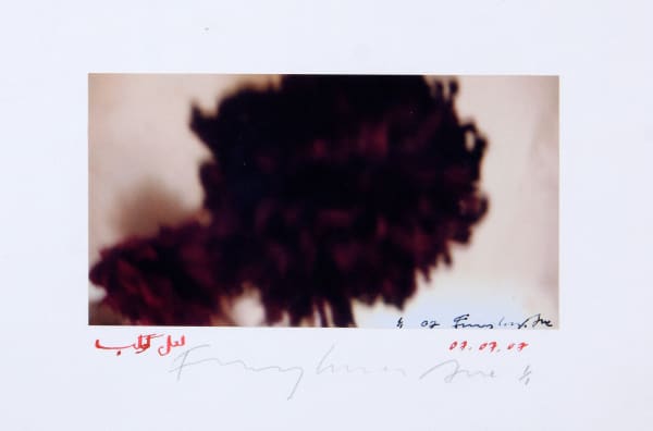 Fereydoun Ave, Untitled, 2018
