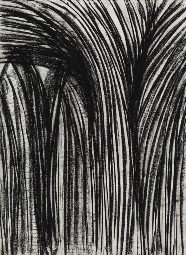 Atefeh Majidi Nezhad, Untitled, 2018