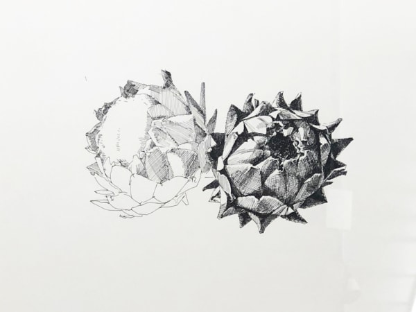 Bijan Saffari, Untitled
