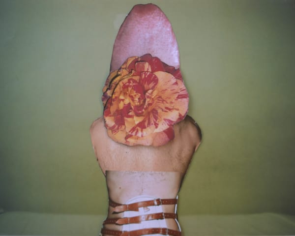 Alborz Kazemi, Untitled, 2017