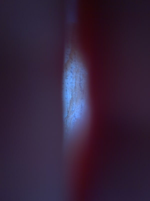Mehran Mohajer, Untitled, 2017