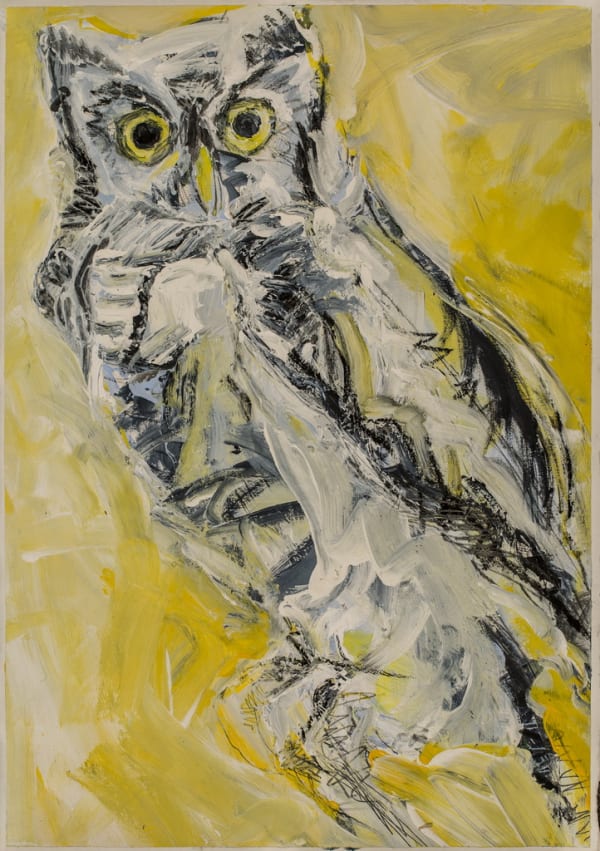 Pantea Rahmani, Untitled
