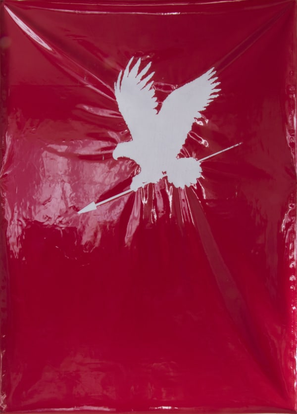 Maryam "Mimi" Amini, Eagle, 2018