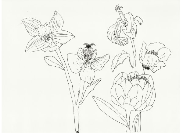 Raana Farnoud, Untitled