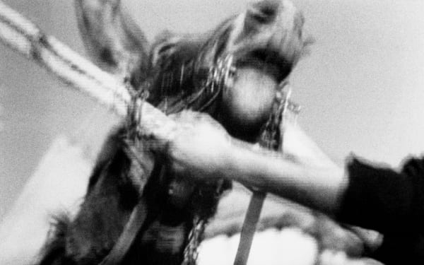 Pouya Parsamagham, Balthazar, 2018