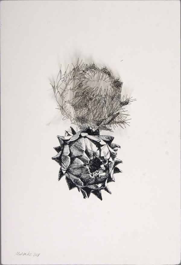 Mahsa Karimizadeh, Untitled, 2018