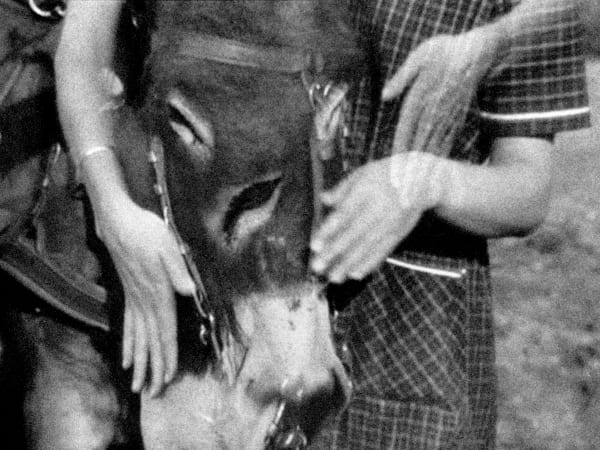 Pouya Parsamagham, Balthazar, 2018