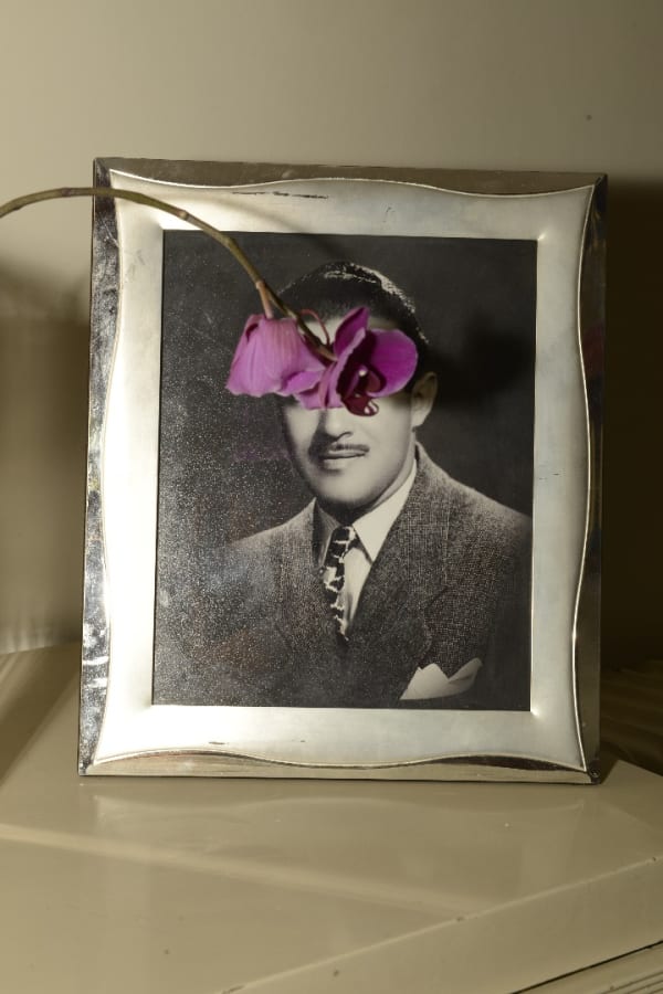 Alborz Kazemi, Untitled, 2016