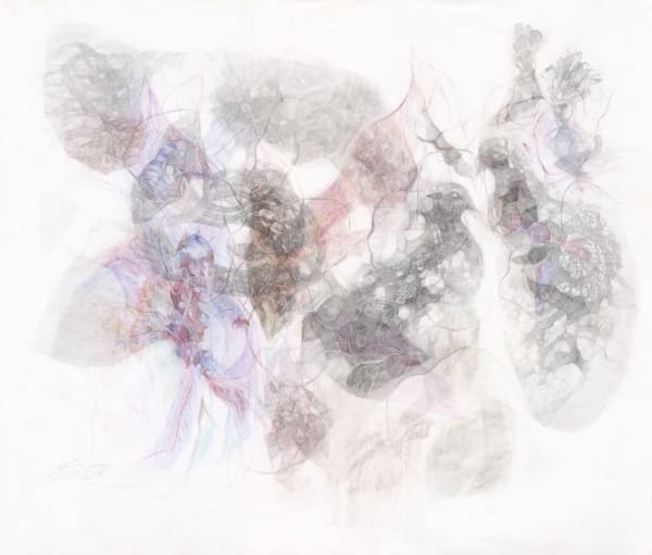 Shiva Shahla, Oriental Fancy, 2018