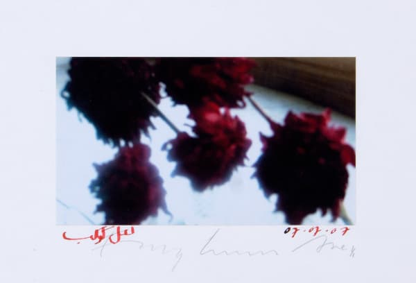 Fereydoun Ave, Untitled, 2018