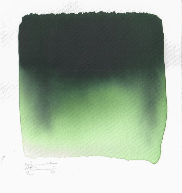 Color Swatch, 2020