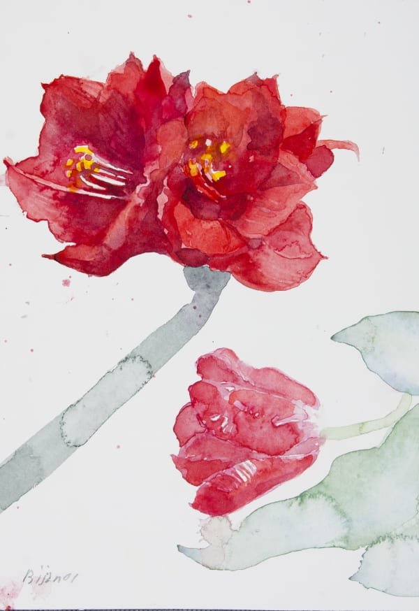 Bijan Saffari, Untitled, 2001