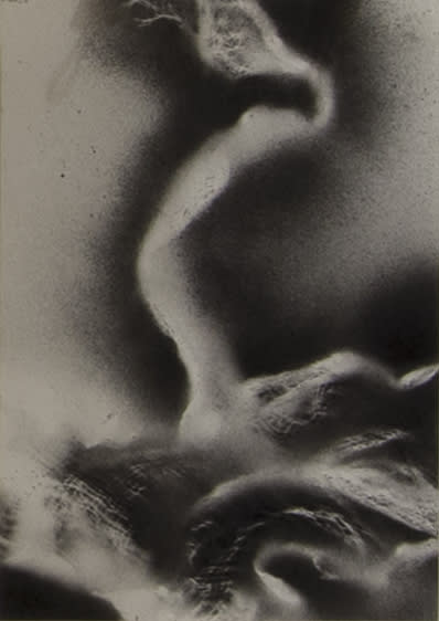 Avin Farhadi, Untitled