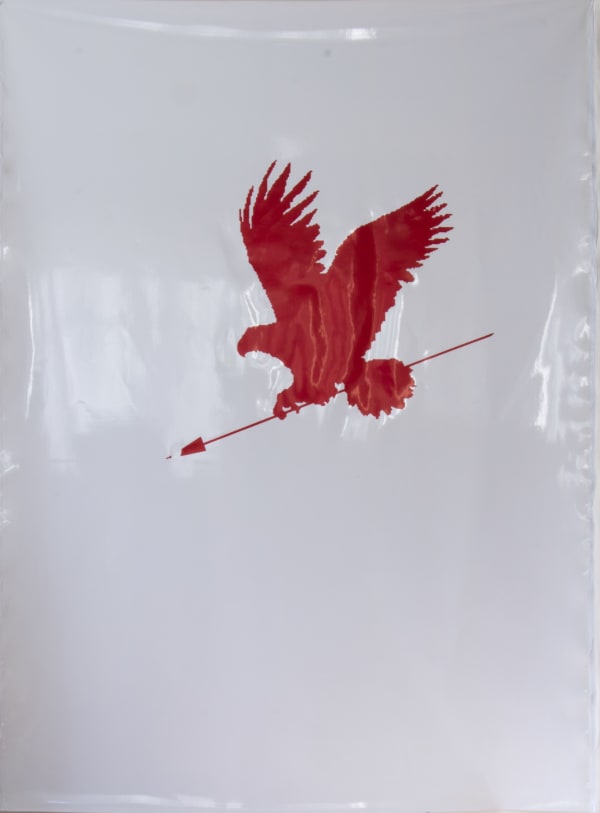 Maryam "Mimi" Amini, Eagle, 2018