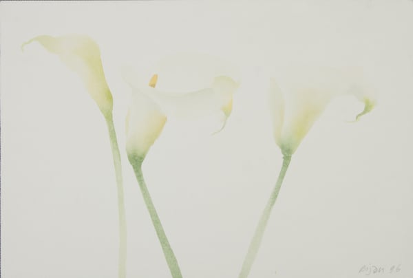 Bijan Saffari, Untitled, 1996