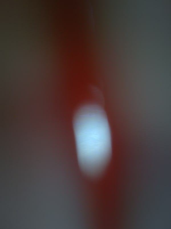 Mehran Mohajer, Untitled, 2017