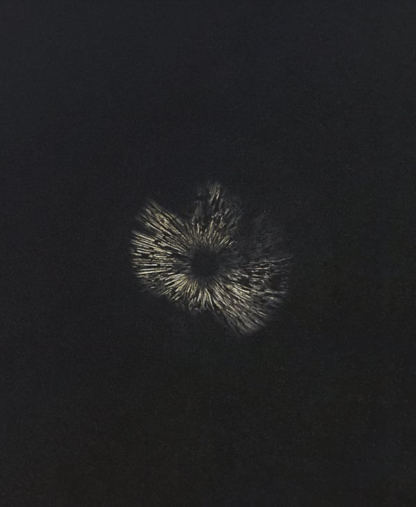 Kimia Kamvari, Untitled, 2017
