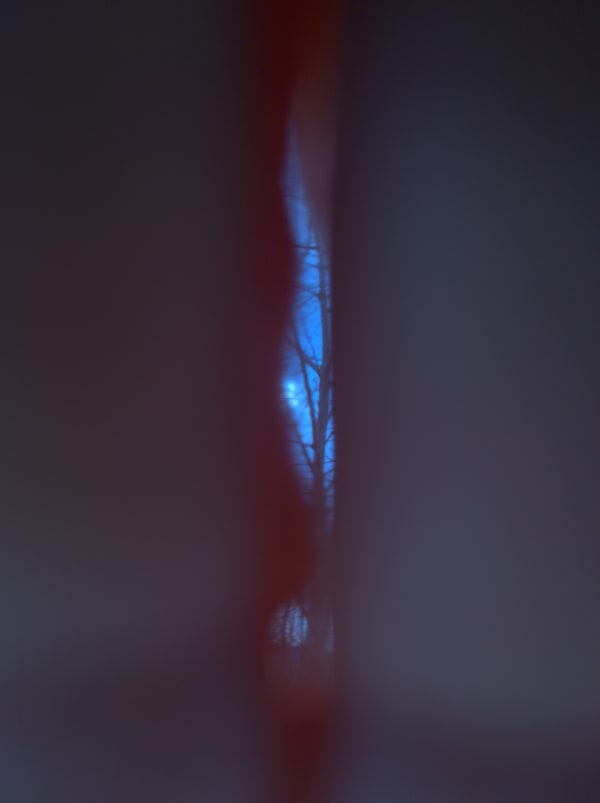 Mehran Mohajer, Untitled, 2017