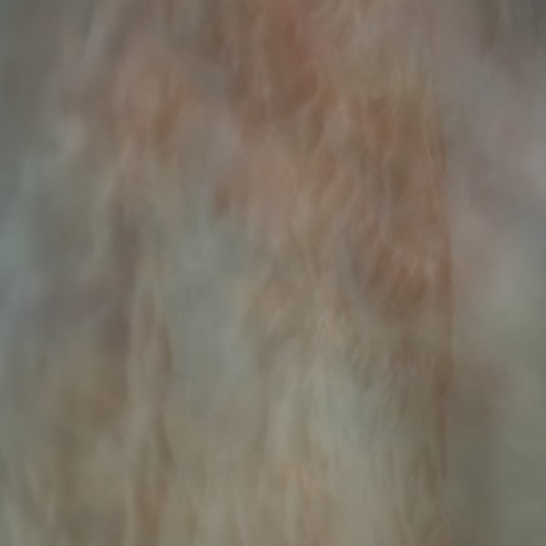 Mehran Mohajer, Untitled, 2018