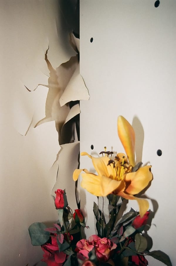 Alborz Kazemi, Untitled, 2016