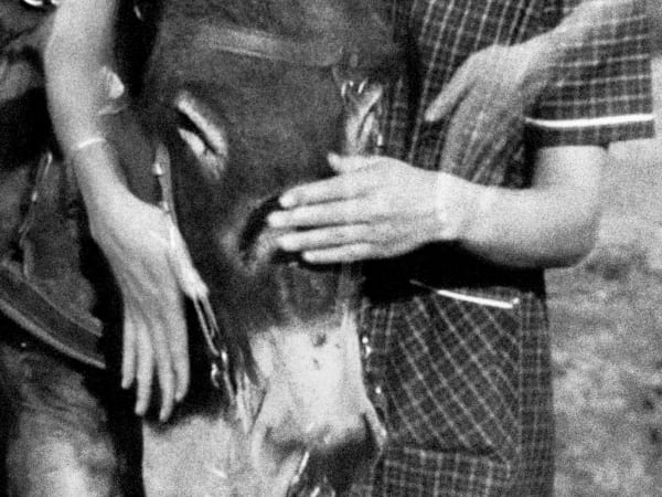Pouya Parsamagham, Balthazar, 2018