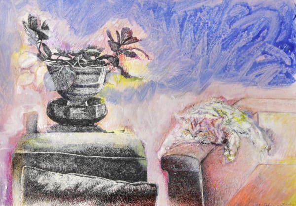 Pantea Rahmani, Untitled, 2018