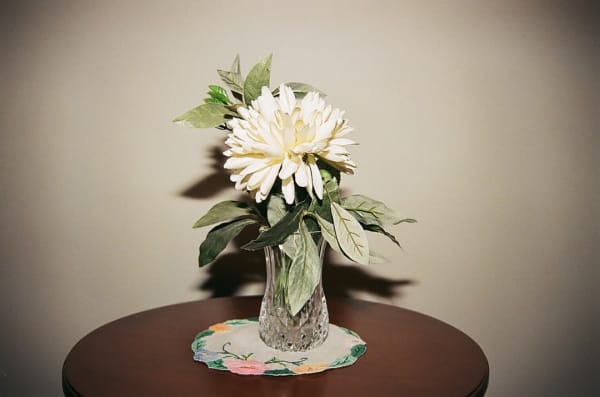 Alborz Kazemi, Untitled, 2016