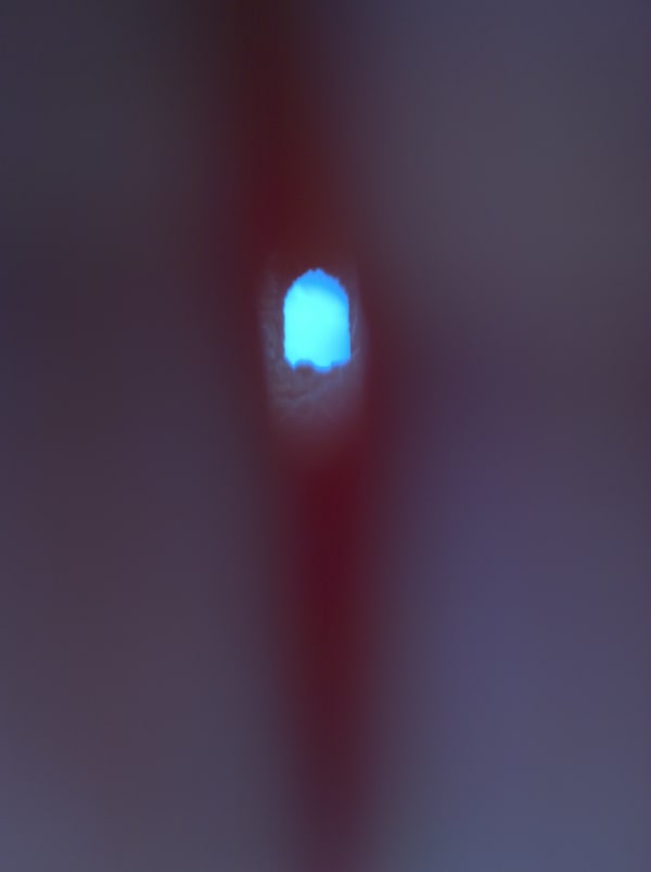 Mehran Mohajer, Untitled, 2017