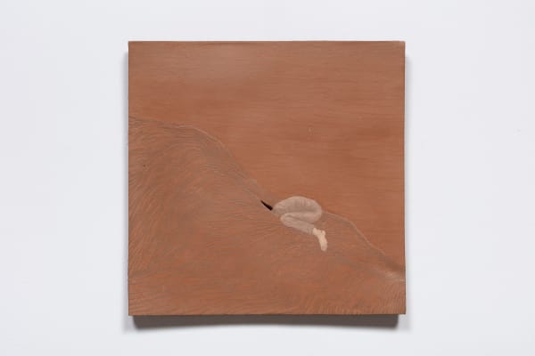 Roksana Pirouzmand, Seeking Within (3), 2024