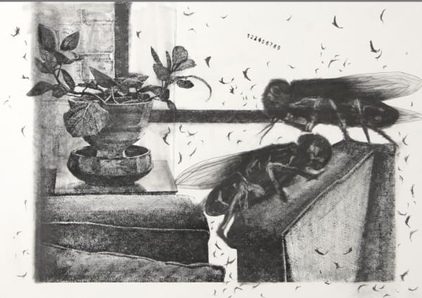 Sara Abbassian, Untitled, 2018