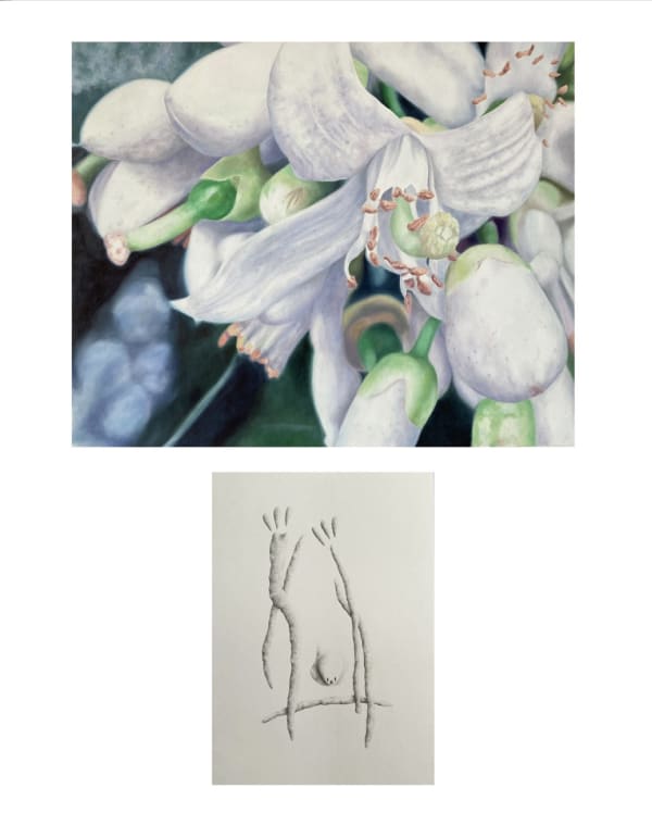 Sina Ghadaksaz, Let Me Shine on Your Flowers, 2021