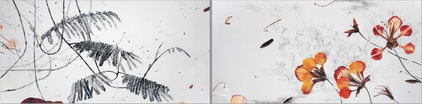 Sadaf Hesamiyan, Bittersweet II, 2020