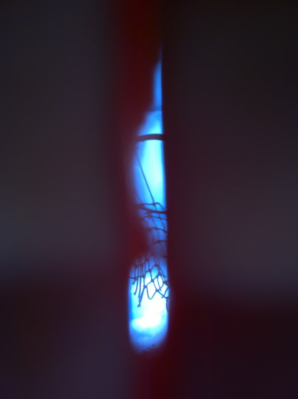 Mehran Mohajer, Untitled, 2017