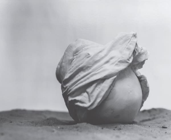 Action 173 : Study of the Head as Cultural Artefacts, 2016