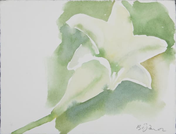 Bijan Saffari, Untitled, 2002