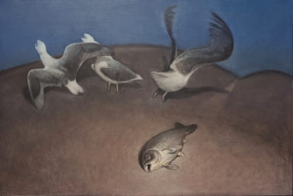 Habitant (Moghim), 2019