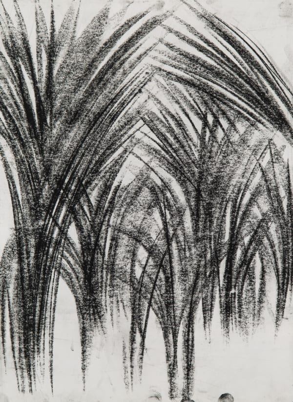 Atefeh Majidi Nezhad, Untitled, 2017