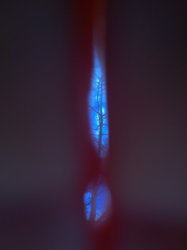 Mehran Mohajer, Untitled, 2017