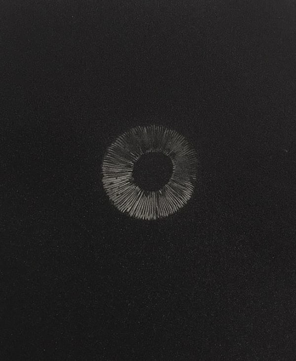 Kimia Kamvari, Untitled, 2017