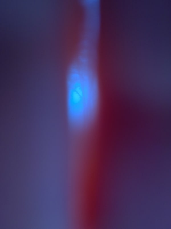 Mehran Mohajer, Untitled, 2017