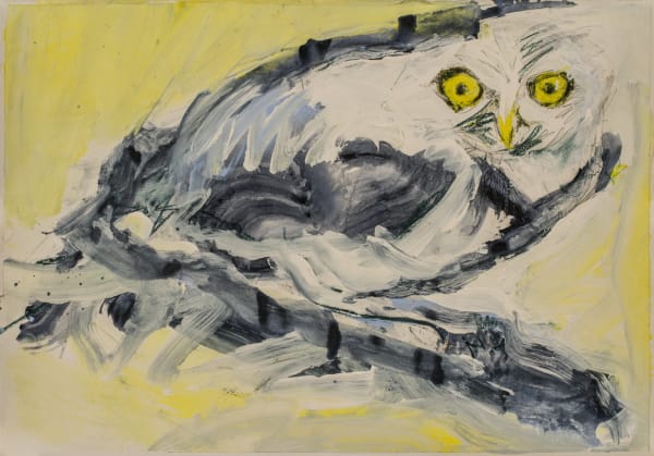 Pantea Rahmani, Untitled