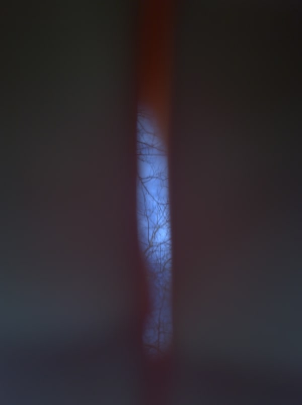 Mehran Mohajer, Untitled, 2017