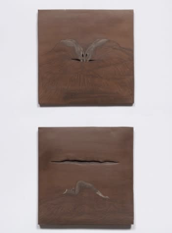 Roksana Pirouzmand, Seeking Within (5&6), 2024