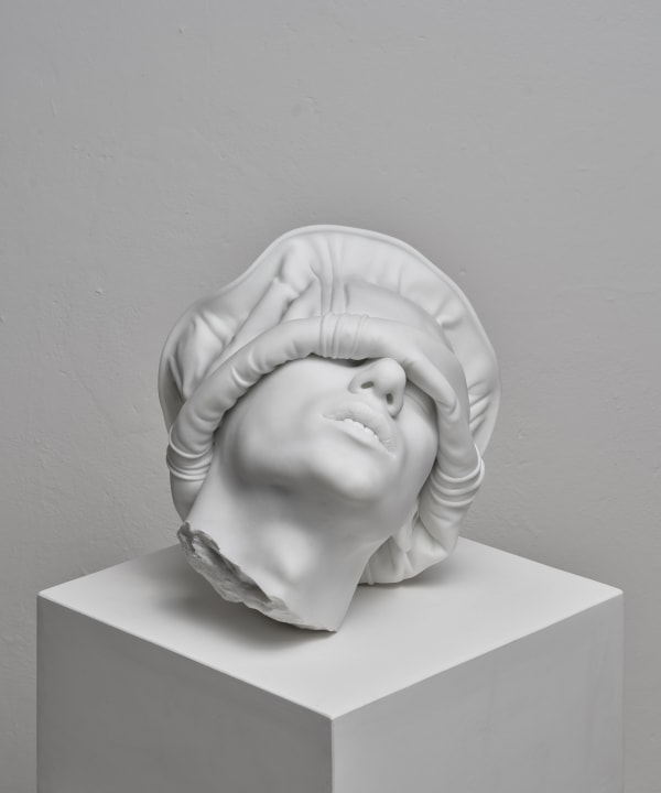 Action 238: Study of the Head as Cultural Artefacts, 2023