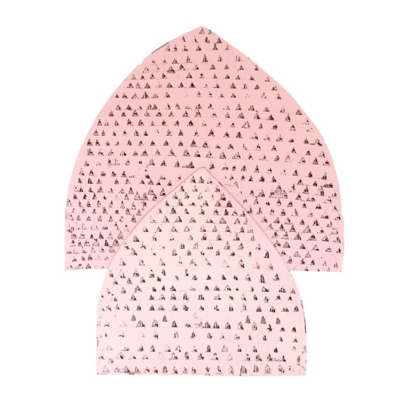 Shadi Yasrebi, Pink Mosque, 2021