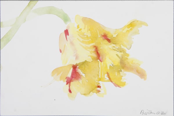 Bijan Saffari, Untitled, 2002