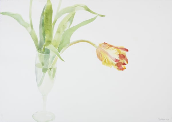 Bijan Saffari, Untitled, 1999