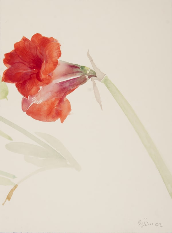 Bijan Saffari, Untitled, 2001