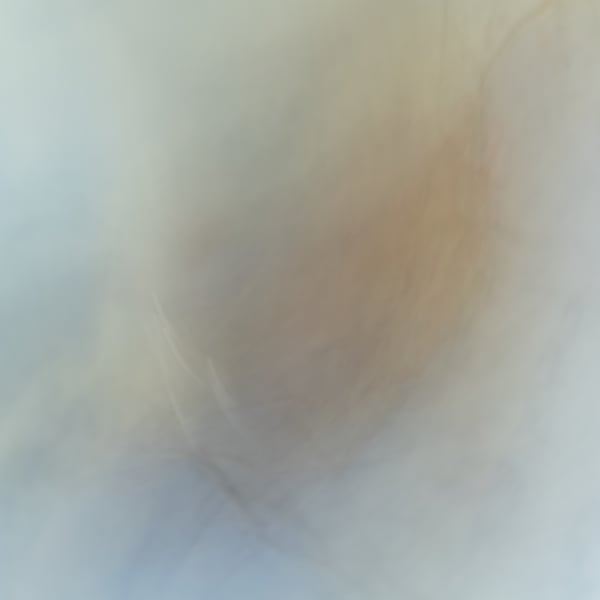 Mehran Mohajer, Untitled, 2018