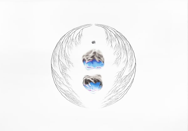 Nima Zaare Nahandi, paleontological egoiste, 2019
